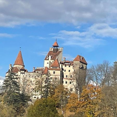 Вилла Casa Dudu Моечу-де-Жос Экстерьер фото