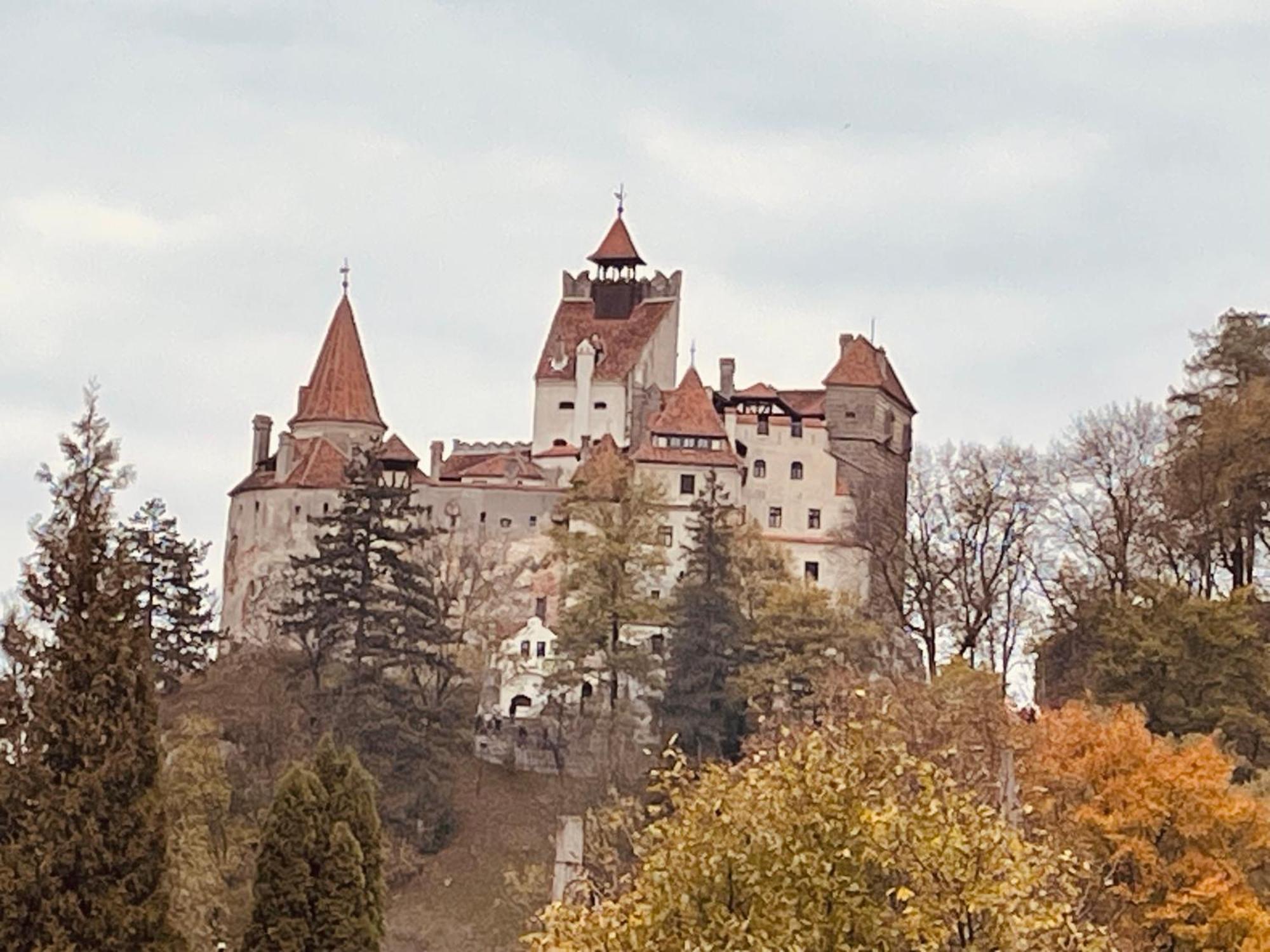 Вилла Casa Dudu Моечу-де-Жос Экстерьер фото